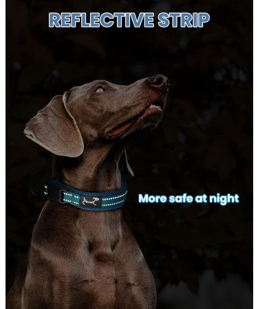 PETTOM Adjustable Nylon Dog Collar - Breathable & Reflective for Small Dogs - Blue S | International Shipping Available - Buy Online on GoSupps.com