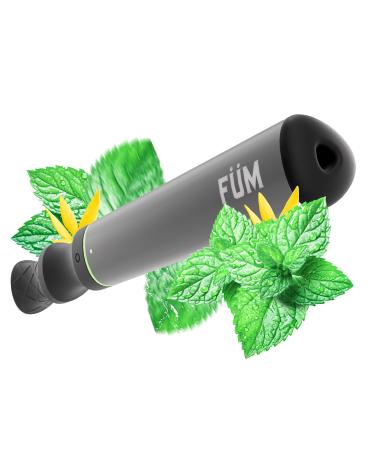 F M Zero Device | Fresh Pocket-Sized Habit Support Tool | Weighted Portable & Refreshing | Spearmint Ice