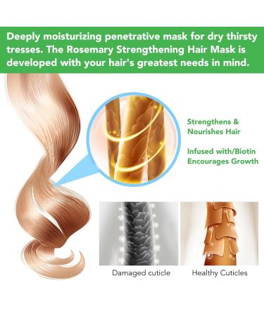 Purvigor Natural Rosemary Mint Hair Mask with Biotin - Deep Conditioner for Dry Damaged & Frizzy Hair | 2 fl. oz - International Shipping Available - Buy Online on GoSupps.com