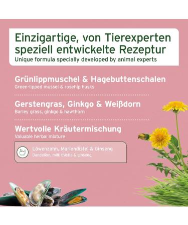 AniForte Senior Active - Minerals and vitamins for Senior Dogs supports memory and heart function (250g) - Buy Online on GoSupps.com