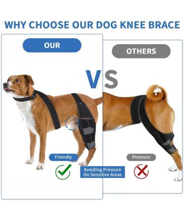Adjustable Dog Knee Brace | Medium Black Pet Knee Pads for Joint Injury Recovery | Support Straps for Dogs - Buy Online on GoSupps.com