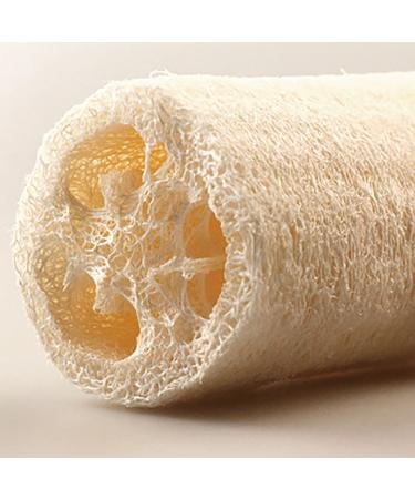 Natural Loofah Sponge Set for Bathing & Showering - 6 Pieces One Size - Eco-Friendly Body Scrub - Buy Online on GoSupps.com