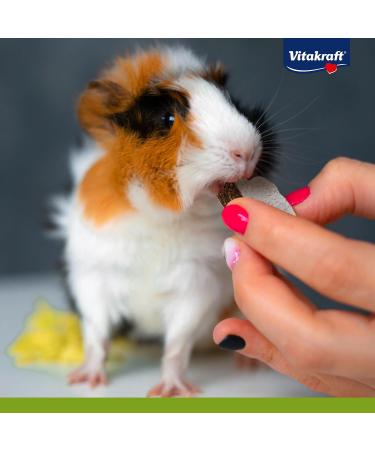 Vita Power Frutti Corn 30g Sugar-Free Fruit Cuts for Rodents with Banana Cowardly & Dates Portionable Pet Treats - Buy Online on GoSupps.com