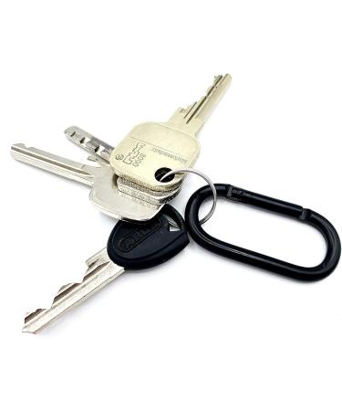 Holesto 3 Set Mini Oval Karabiner - Black Key Organizer & Karabiner Haken - Compact 50x25 mm Carabiner Set for Keyrings - Buy Online on GoSupps.com