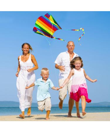 VIKY Dragons Kite for Kids - Colorful Pocket Kite 30m Dragon Cord Beginner Friendly Outdoor Flight Toy - 82cm x 52cm Rainbow Kites for Children and Adults - Buy Online on GoSupps.com