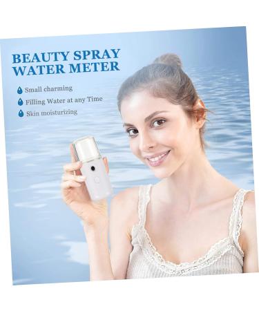 Beavorty Handheld Sprayer 1pc Battery Operated Sprayer Nano Mist Sprayer Face Steamer Spray Meter Water Drop Nano Facial Steamer - Buy Online on GoSupps.com