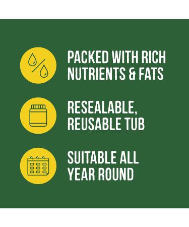 Fat Balls for Wild Birds (50) - High Energy Suet Feed Nutritious Great for Hanging Feeders Attracts Birds to Garden All Year Round - Honeyfield's 4.25 kg (Pack of 1) Tub of 50 Fat Balls 4.25 kg (Pack of 1) - Buy Online on GoSupps.com
