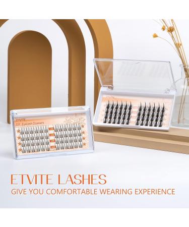 ETVITE DIY Eyelash Extensions 48 Clusters | 3D Effect C Curl | Wispy Spikes Plus Style | Reusable & Long Lasting | Natural Look Individual Lashes - 14mm - Buy Online on GoSupps.com
