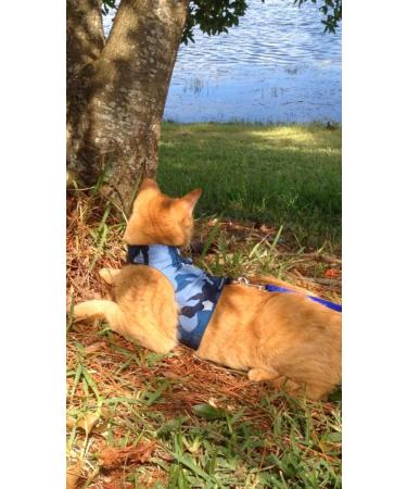 Mynwood Escape Proof Jacket/Harness for Adult Cats - Blue | International Shipping Available - Buy Online on GoSupps.com