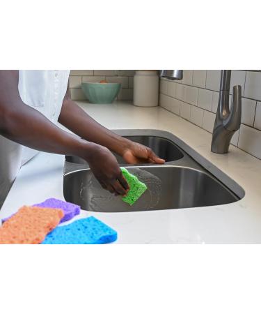 Dawn Ultra Cellulose Wedge-Shaped Dish Cleaning Scrub Sponges Multicolor (Pack of 4) - Buy Online on GoSupps.com