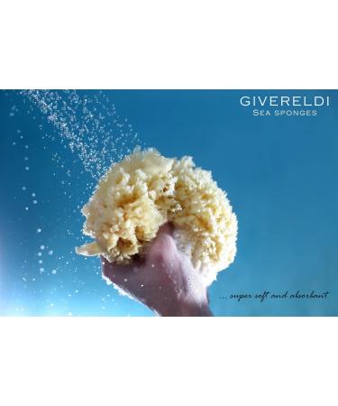 Medium Unbleached Honeycomb Natural Sea Sponge - 100% Natural Organic - Hypoallergenic Bath & Shower Exfoliating Sponge for Children & Adults - Durable & Gentle Cleansing - 13 cm - Buy Online on GoSupps.com