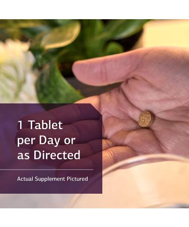 Standard Process Iodomere - Whole Food Thyroid Support with Organic Ingredients - 90 Tablets - Buy Online on GoSupps.com