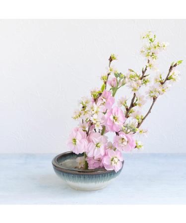 Wazakura Minoyaki Series Japanese Ikebana Essential Tool Kit - White & Blue Kenzan + Brass Kenzan - Floral Arranging Set - Buy Online on GoSupps.com
