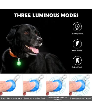 Faburo 6 PCS Clip on Dog Collar LED Lights Water Resistant Dog Collar with Battery Safety Night Walking LED Lights 6PCS - Buy Online on GoSupps.com