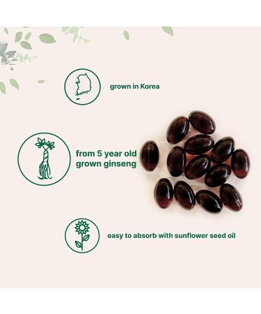 Micro Ingredients Red Panax Ginseng 1200mg | High Potency Korean Ginseng Extract 200 Softgels - Non-GMO, Gluten-Free - Buy Online on GoSupps.com