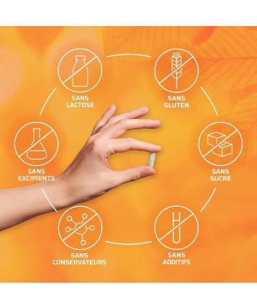 Bioph nix Organic multivitamins 90 capsules - 100% natural plant-based food supplement - Fights against food deficiencies and fatigue - Buy Online on GoSupps.com