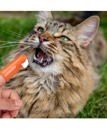 Pet Toothpaste. Pet Teeth Cleaning Paste with Brush Pet Care Finger Toothbrush Dog and Cat Oral Cleaning Tool. Teeth Cleaning Kit for Cats and Dogs 1 count (Pack of 1)