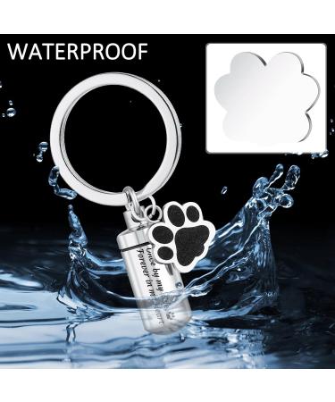 Canghai Stainless Steel Dog Paw Cremation Urn Keychain - Memorial Ashes Keepsake Pendant for Pet - Cremation Jewelry for Ashes - Buy Online on GoSupps.com