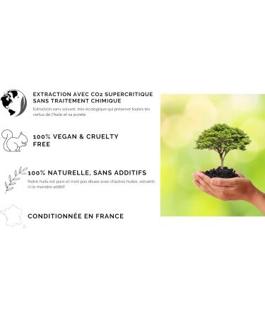 Concentrated Nigella Elixir - Care for Hair Skin Scalp Body - Pure Oil 100% Natural - Tunisia - 30 ml - Buy Online on GoSupps.com