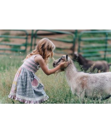Caprina by Canus Fresh Goat's Milk Body Lotion Original Formula 11.8oz - Buy Online on GoSupps.com