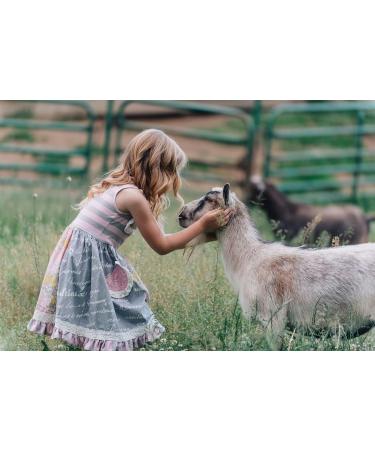 Caprina by Canus Lavender Oil Bubble Bath 27.1 oz (Pack of 4) with Canadian Goat Milk - Buy Online on GoSupps.com