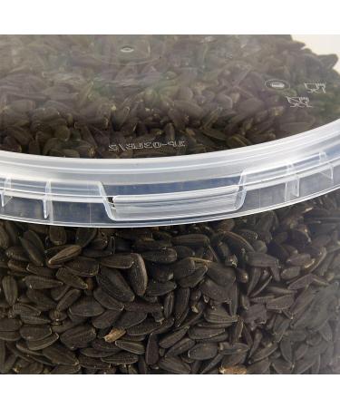 Premium Black Sunflower Seed Wild Bird Food 3L Tub - Buy Online on GoSupps.com