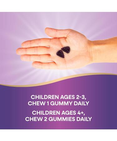 Nature's Way Sambucus Elderberry Immune Gummies for Kids with Black Elderberry Extract Vitamin C and Zinc Immune Support Gummies* 60 Count (Set of 3) - Buy Online on GoSupps.com