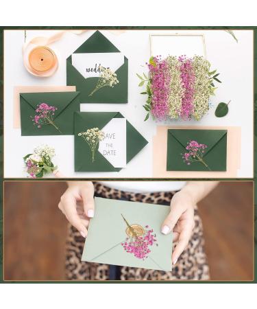 Dried Baby's Breath Flowers - 200 Pcs Natural Gypsophila Branches for Wedding DIY Crafts and Home Decor - 2 Colors - Buy Online on GoSupps.com