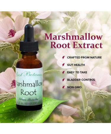 Best Botanicals Marshmallow Root Extract - 1 oz | Pure and Natural - Buy Online on GoSupps.com