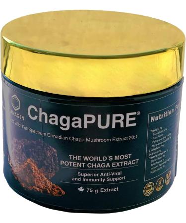 ChagaPURE Extract Powder - Buy Online on GoSupps.com