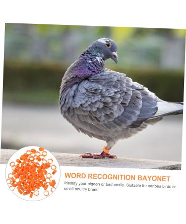 100 pcs Xuan Feet Charms Colorful Hen Leg Drumstick Number Products Stuff Identification Pigeons 1.3X1.3CM Orange - Buy Online on GoSupps.com