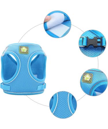 Neuwehe Cat Dishes Set with Leash - Adjustable Cat Harness & Tableware for Big Cats & Small Dogs (M Blue) - Outbreak-Proof & Durable - Buy Online on GoSupps.com