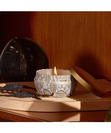 La Jol e Muse Coconut Lemonade Candle - Natural Soy Wax 80 Hours Burn Time Home Fragrance 185g Set of 2 - Buy Online on GoSupps.com