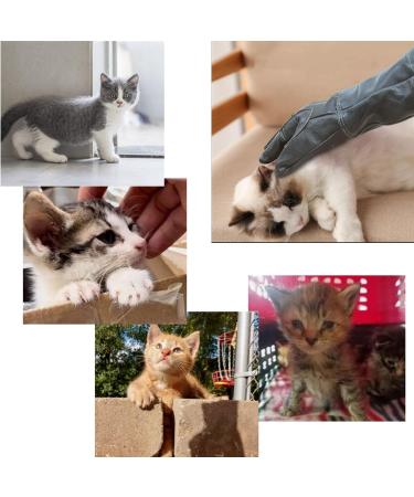 Buy Waterproof Bite-Proof Gloves for Handling Animals | 60cm Reinforced Leather Protection for Cats Dogs Lizards & More International Shipping Available - Buy Online on GoSupps.com