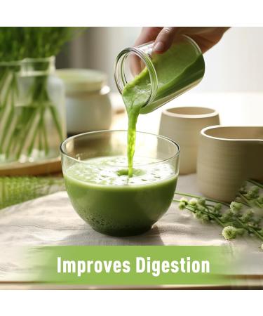 UNLEASH'D ORGANIC Organic Wheatgrass Juice Powder 16oz 100% Pure Superfood, Immune & Energy Boost, Detox Support - Buy Online on GoSupps.com