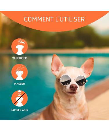 ARTERO Block. Cr me Solaire pour Animaux de Compagnie. Prot ge Le Pelage des Effets des Rayons UV et infrarouges. - Buy Online on GoSupps.com