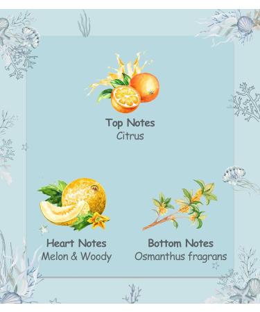 Seren Ocean Scented Candle Gift Set | Anxiety Relief | Relaxation Gifts for Women/Men | 3 Votive Candles - Buy Online on GoSupps.com