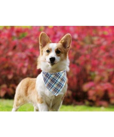 Lionet Paws Light Blue Dog Bandana | Headscarf & Triangular Scarf for Small Medium & Large Dogs - 1 Pack - Buy Online on GoSupps.com