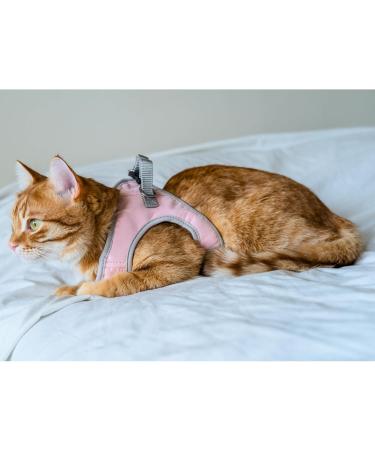 Buy Belffy Cat Dishes & Leash Set - Automatic Leash for Cats Kittens & Dogs | Outbreakproof Jacket & Leash for All Sizes - Medium Pink - Buy Online on GoSupps.com