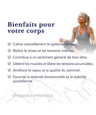 Ashwagandha avec magn sium + gestion du stress 2 suppl ments en 1 paquet pour Relaxation et quilibre mental I 28 doses quotidiennes - Buy Online on GoSupps.com