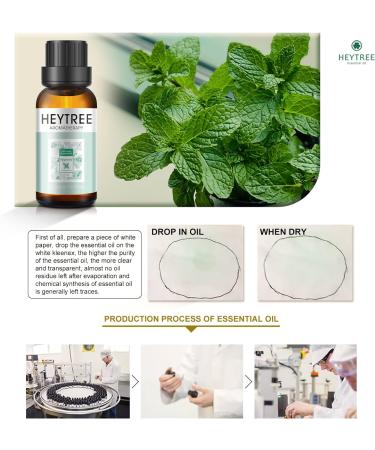 HEYTREE 100% Pure Peppermint Essential Oil 30ml - Fresh Minty Scent for Clarity & Aromatherapy Diffuser - Clear Breathing - Strong Peppermint Oil - 30.00 ml (Pack of 1) - Buy Online on GoSupps.com