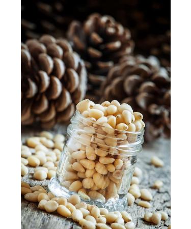 Pine Nuts 500 g (1 x 0.5 kg) | Vegan Source of Iron | Pine Kernels | Keto snack - Buy Online on GoSupps.com