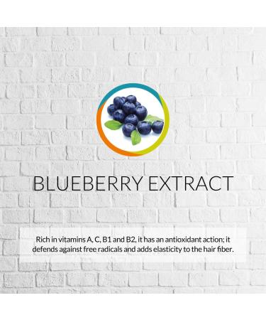 Style Perfetto Hyper Root Boost Spray 8.8 oz - Buy Online on GoSupps.com