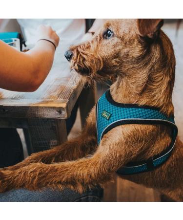 HUNTER HILO COMFORT Harness for Small Dogs - Turquoise XXS-XS | Mesh Material & Reflective Elements for Safety - Buy Online on GoSupps.com
