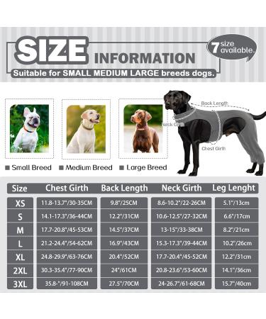 Buy Hjyokuso Dog Body Suit for Post-Op Wound Protection | Anti-Licking E-Collar Alternative for Dogs | Gray Hind Leg Protection - Buy Online on GoSupps.com
