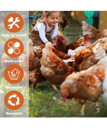 Taicols 100 16mm Chicken Recognition Leg Straps 5 Colors Chicken Foot Labels Ducks Pigeons Guinea Pigs Geese Poultry (16mm) - Buy Online on GoSupps.com