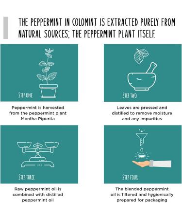 Colomint Peppermint Oil Capsules- Relief for IBS, Bloating, and Digestion - 84 Gastro-Resistant Capsules - Buy Online on GoSupps.com