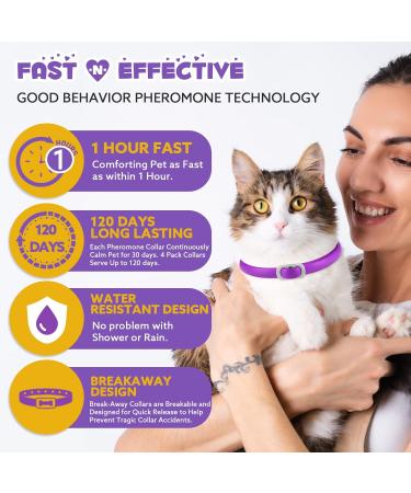 HRAMEX Calming Collar for Cats 4 Pack Cat Calming Collar Comforting pet Within 1 Hour Efficient Relieve Anxiety Stress Cat Pheromone Collar Cat Calming Collar for Anxiety Fit Most Size Cats - Buy Online on GoSupps.com