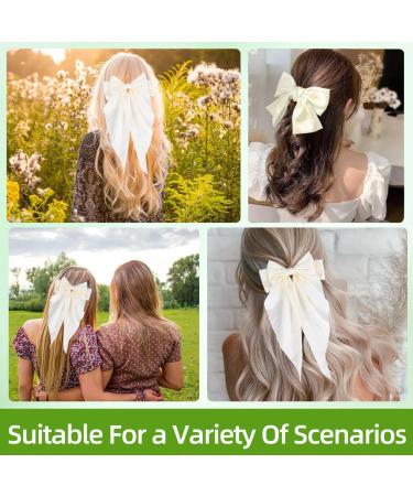 Gsxnkk Bow Hair Clips Big Bowknot Hairpin French Hair Clips Solid Color Hair Barrette Clips Soft Satin Silky Hair Bows for Women Girls (SetC) - Buy Online on GoSupps.com
