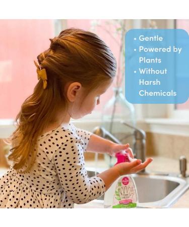 Dapple Foaming Hand Soap Gentle Hand Wash Baby Soap Hypoallergenic for Sensitive Skin Powered by Plants Lavender 13 Fl Oz (Pack of 1) - Buy Online on GoSupps.com